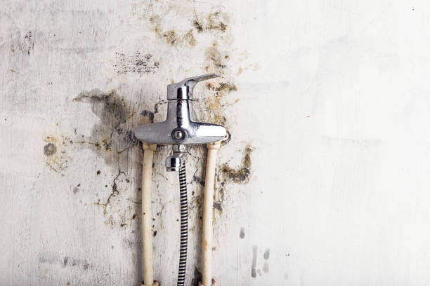 Best Residential Mold Removal  in Glendale, CA