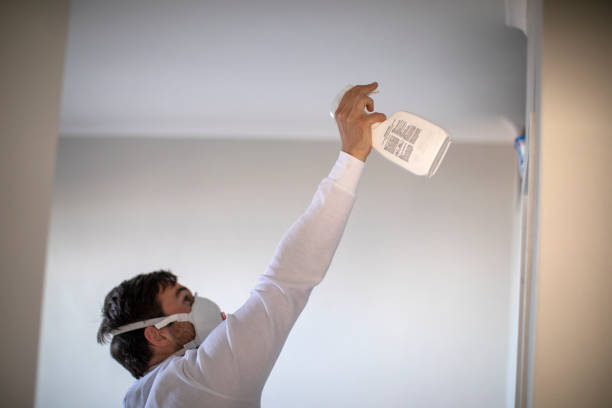 Certified Mold Removal in Glendale, CA