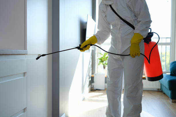 Best Mold Testing  in Glendale, CA