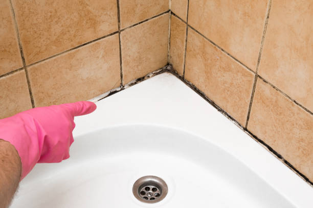 Best Crawl Space Mold Removal  in Glendale, CA